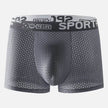 Men's Underwear Mid Waist Mesh Ice Silk Mesh SPORT Boxer Brief