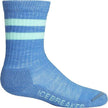 Icebreaker Merino Kid's Hike Light Cushion Crew Socks Size M