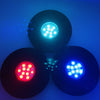 LED Light Sponge Base Hookah Accessories