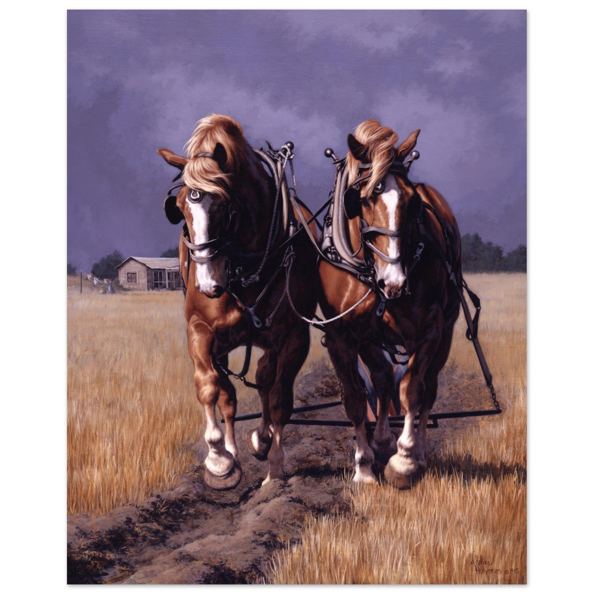 THROUGH FIELDS OF GOLD Fine Art Print