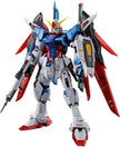 RG Destiny Gundam [Titanium Finish]