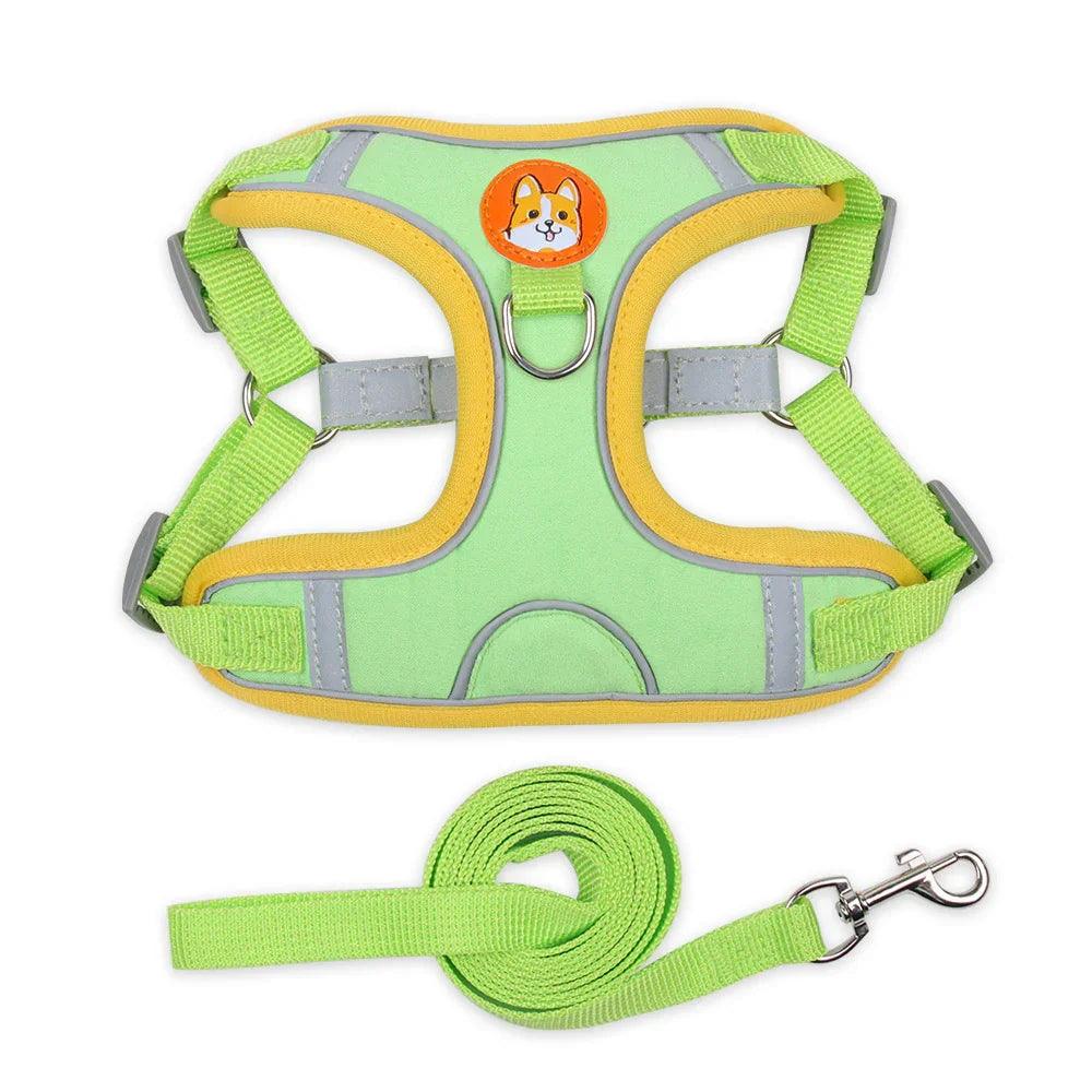 Reflective Soft Mesh Dog & Cat Harness with Leash Set – Blue, Green, Orange, Purple, Red, Grey | S–XL