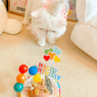 Pet Birthday Party Hat & Bib Set – Cute Dog & Cat Birthday Decoration Kit