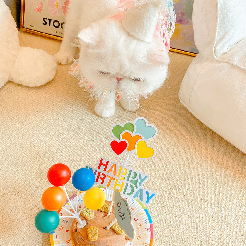 Pet Birthday Party Hat & Bib Set – Cute Dog & Cat Birthday Decoration Kit