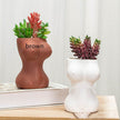Flower Pots Decorative Ornaments Ceramic Crafts flower vase