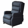 Ezee Life Earth Lift Chair CH4012 – Dual Motor Vertical Rise Infinite Position Recliner for Seniors in Canada