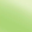 Siser Easyweed Lime Electric 15