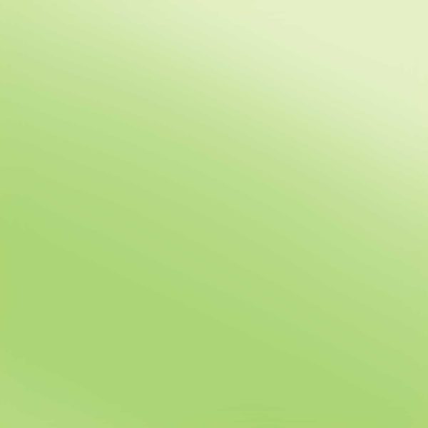 Siser Easyweed Lime Electric 15