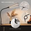 Double-Headed Clip-On Desk Lamp – Eye Protection LED Study Light (Black / White)