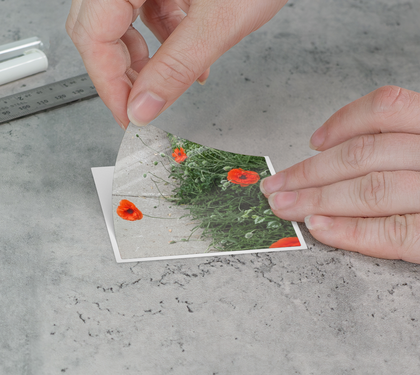 Sticker | 3 x 3  | Peripheral Poppies