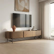Echelon Metallic Entertainment Center