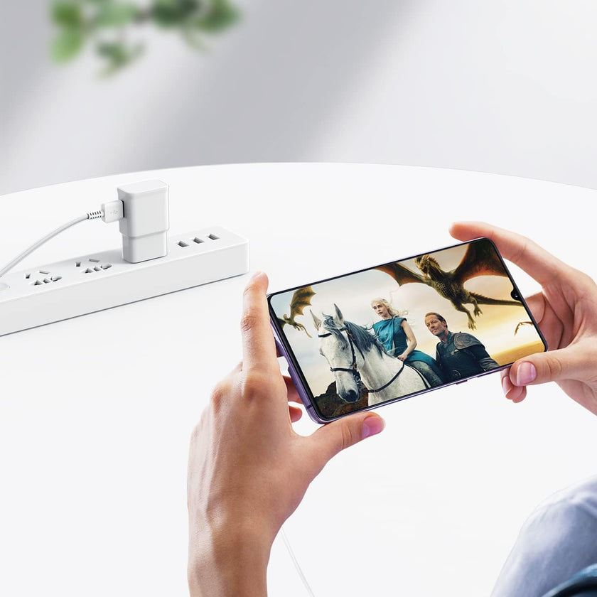 USB-C Fast Charger 2-Pack with 6ft Cable