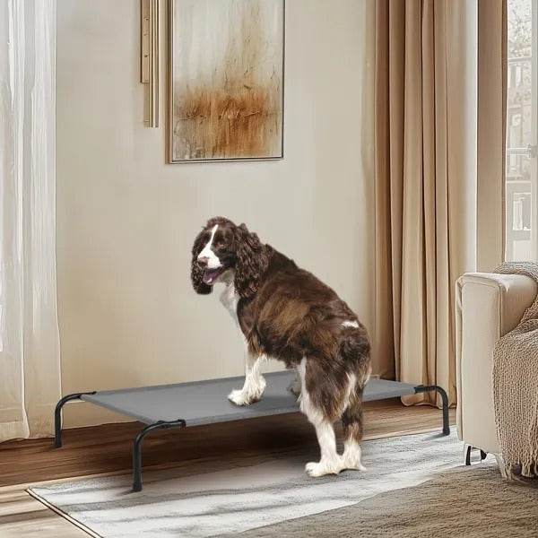 50D X 31W X 8H Dog Bed