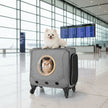 Rolling Pet Carrier Suitcase with Trolley Handle & Breathable Window