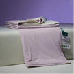 Four Seasons Winter Quilt Duvet Insert Double Layer