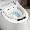 Electric Toilet Bidet For Women