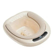 Electric Toilet Bidet For Women