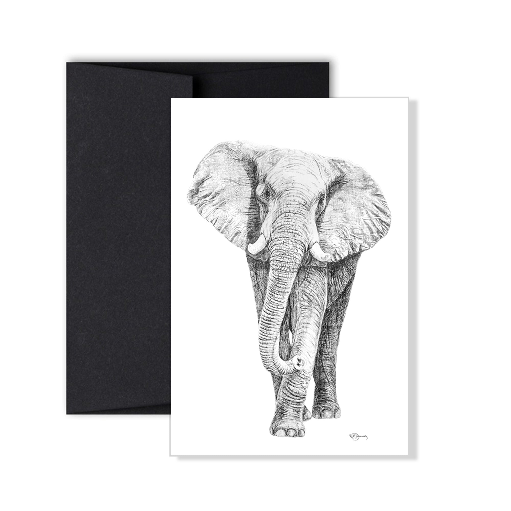 Elephant greeting card