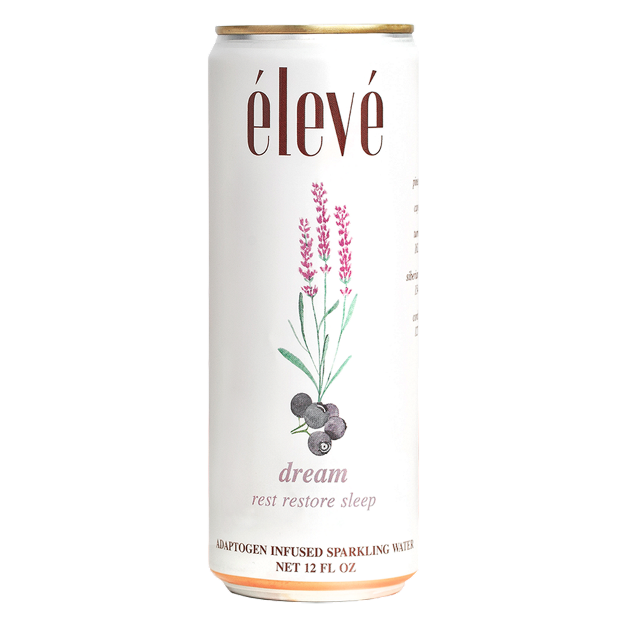 élevé - dream