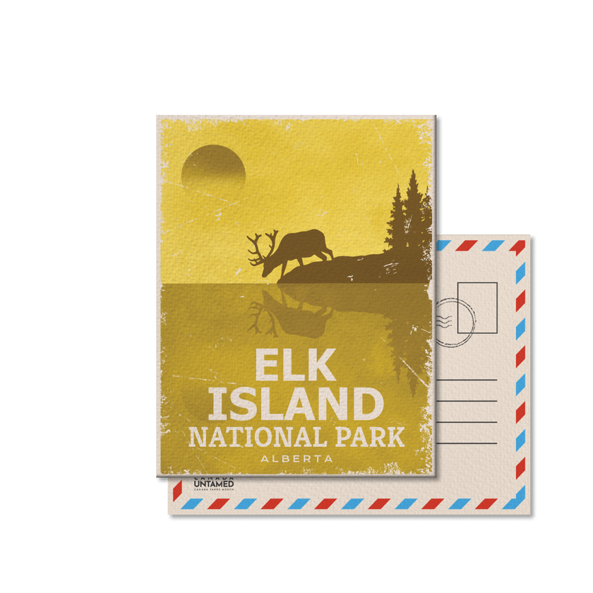 Elk Island National Park of Canada Postcard, Canada Parks