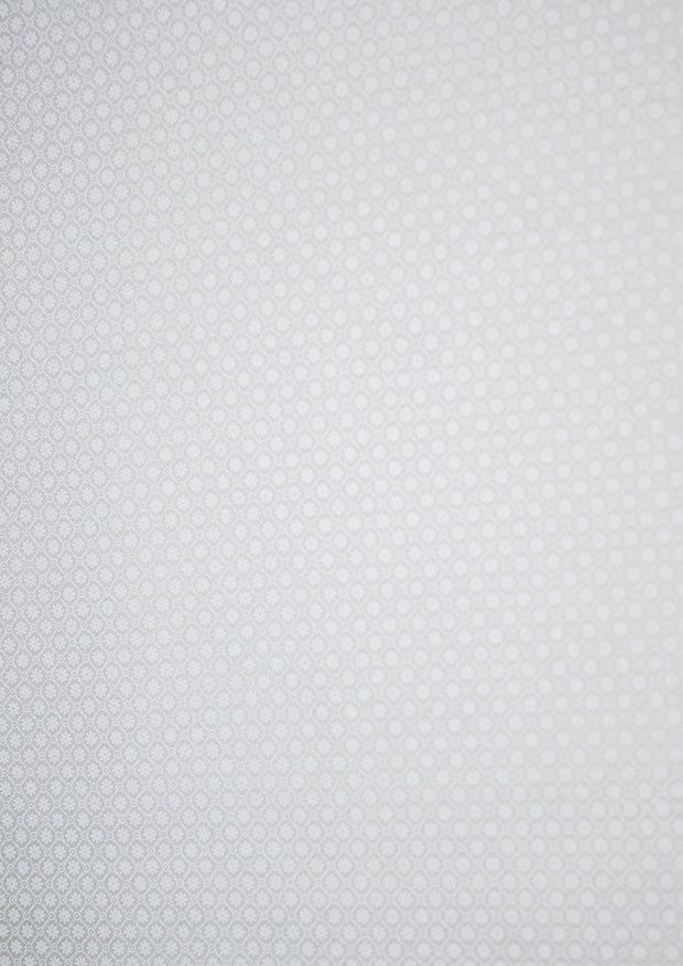 White on White Tone on Tone Fabric -Daisy  Trellis- Basic Palette