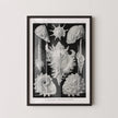 Ernst Haeckel Shells Art Print: Black and White Marine Life