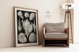 Ernst Haeckel Shells Art Print: Black and White Marine Life