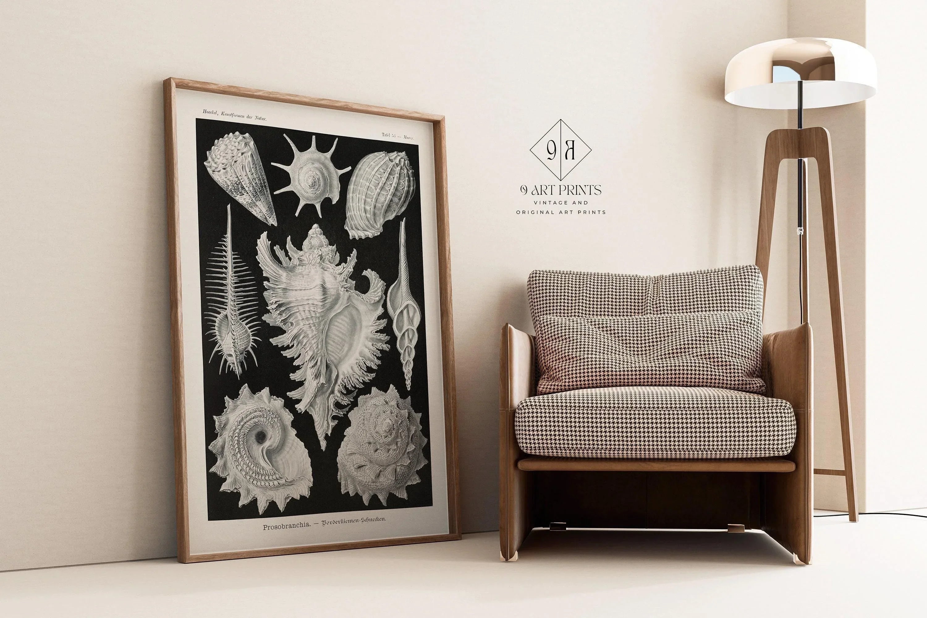 Ernst Haeckel Shells Art Print: Black and White Marine Life