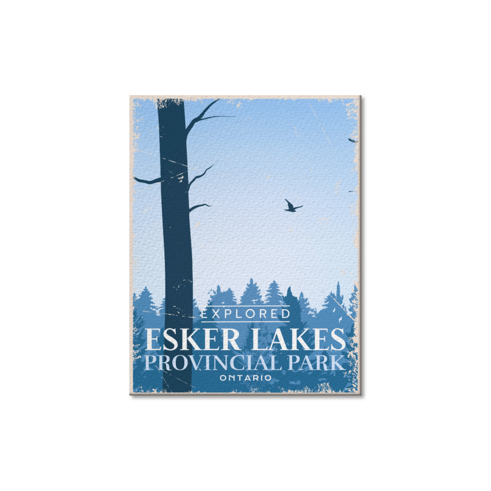 Esker Lakes Ontario Provincial Park Postcard, Canada Parks