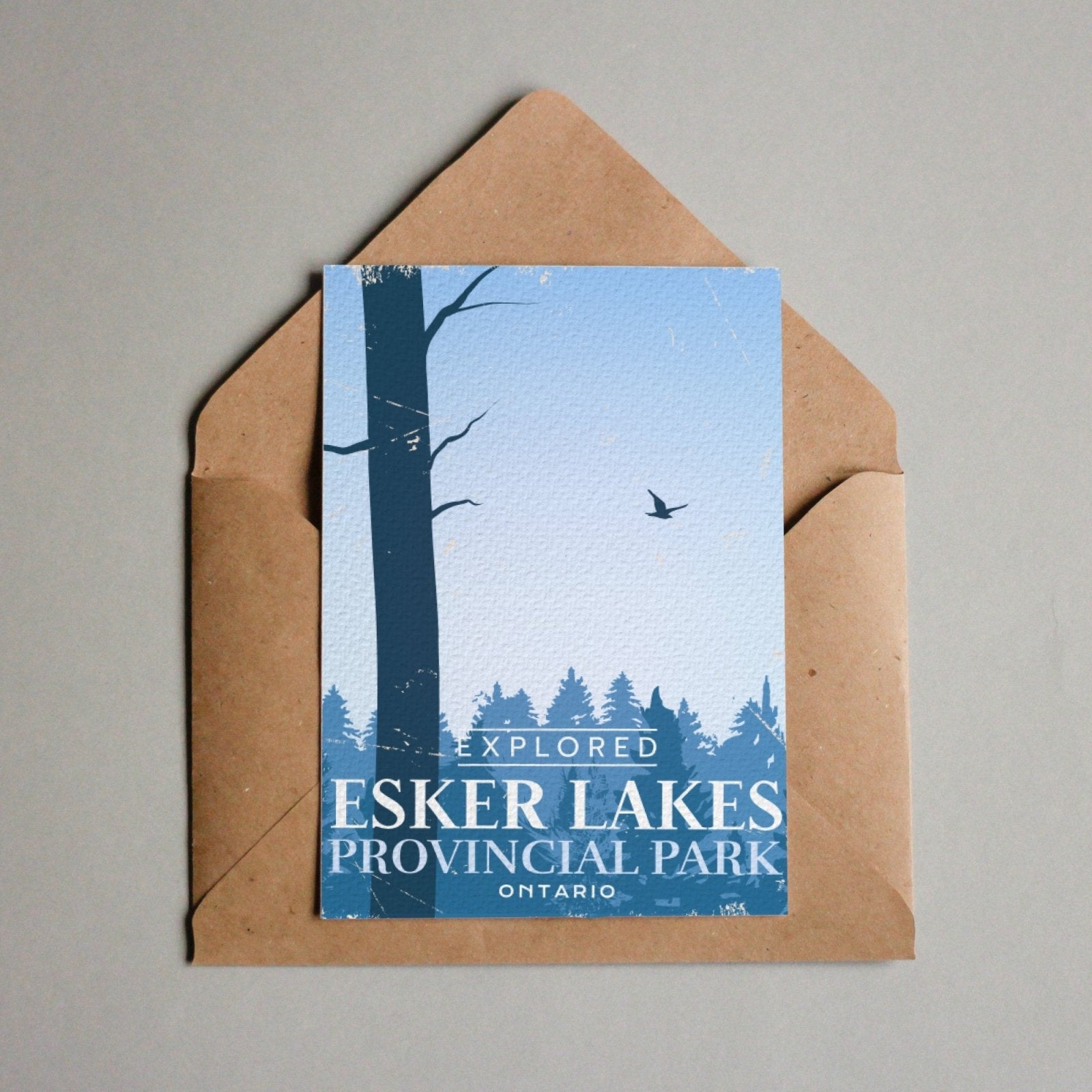 Esker Lakes Ontario Provincial Park Postcard, Canada Parks
