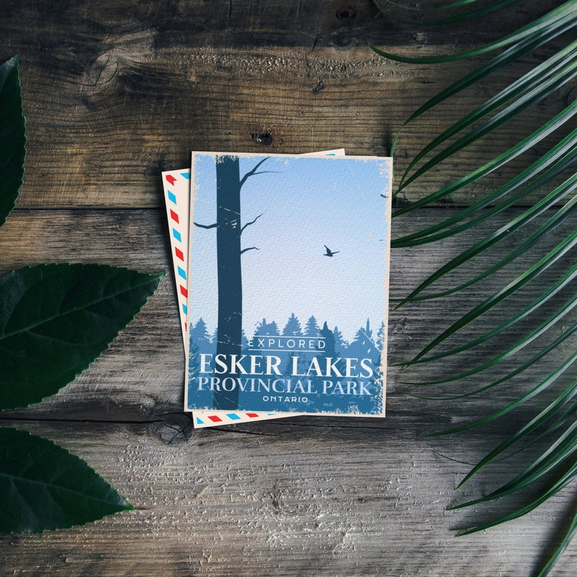 Esker Lakes Ontario Provincial Park Postcard, Canada Parks