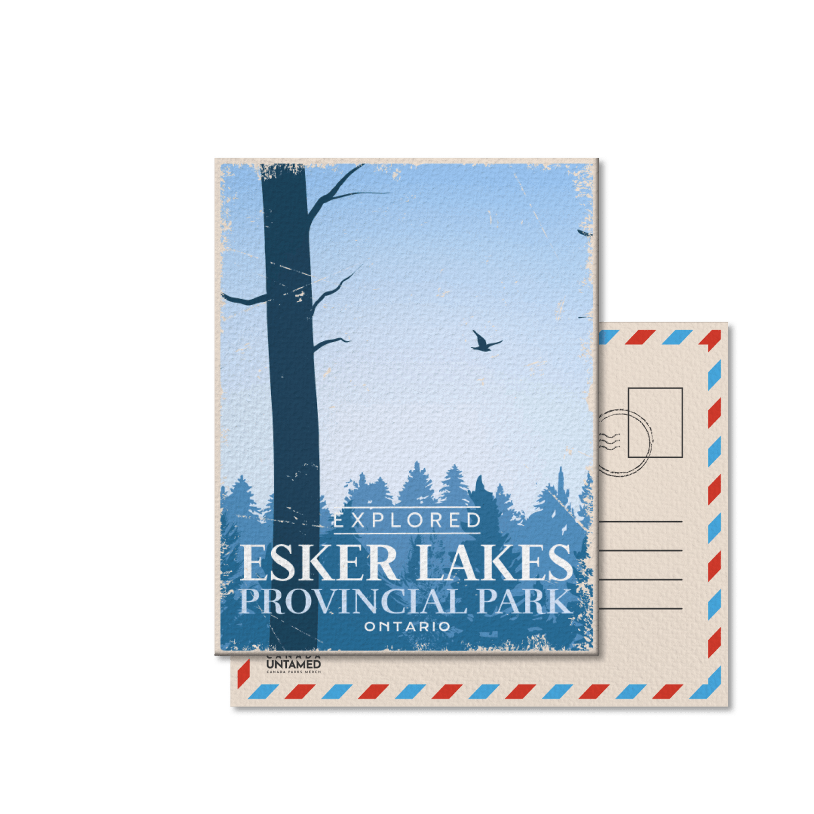 Esker Lakes Ontario Provincial Park Postcard, Canada Parks