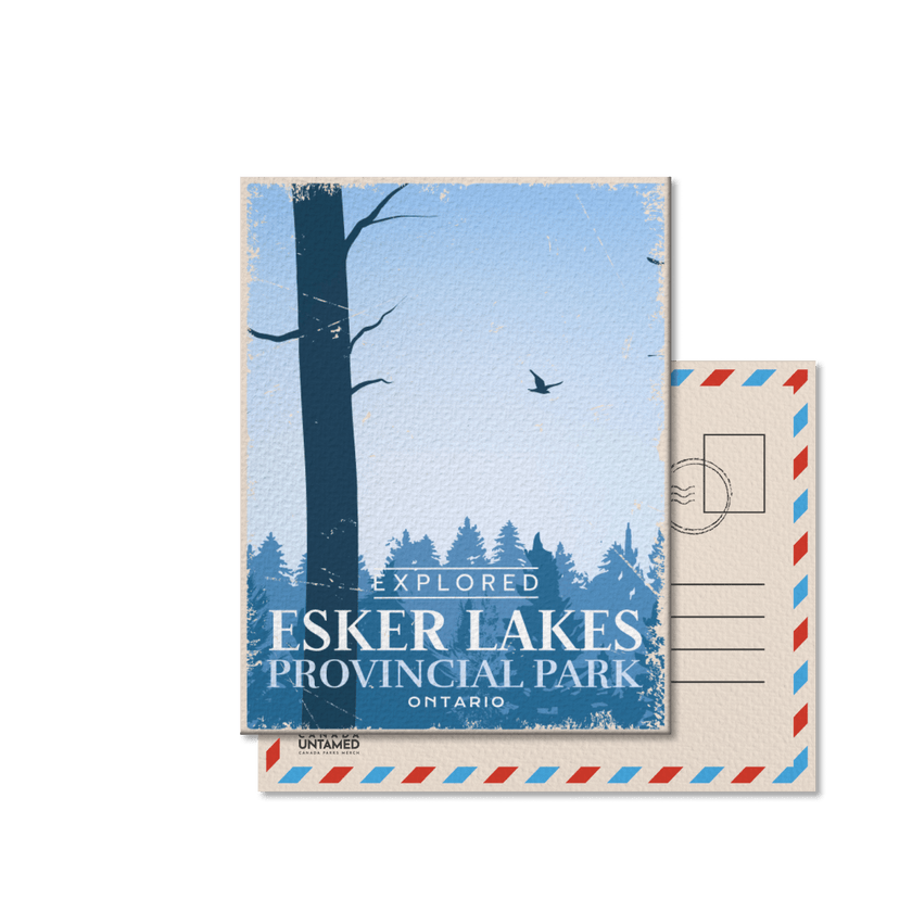 Esker Lakes Ontario Provincial Park Postcard, Canada Parks