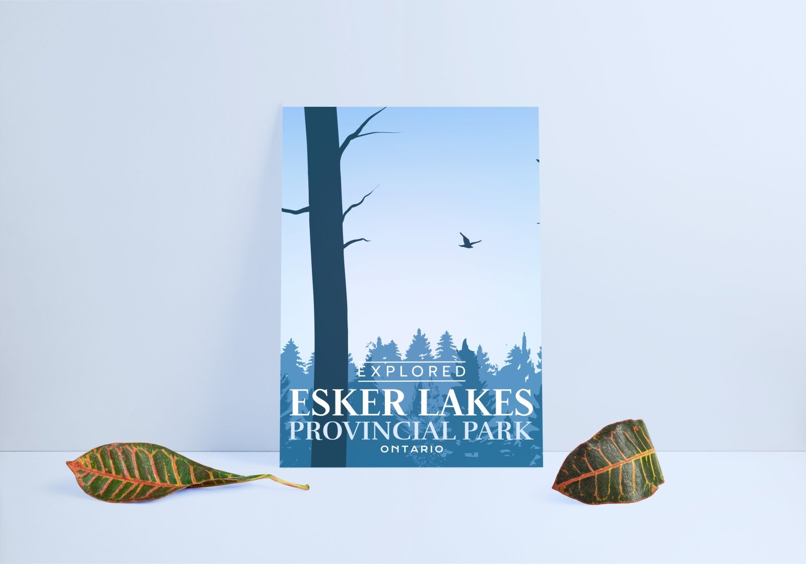 Esker Lakes Provincial Park 'Explored' Poster, Canada Parks