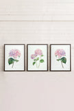 BLOSSOMING TRIO (3 Oeuvres sur toile étirée)