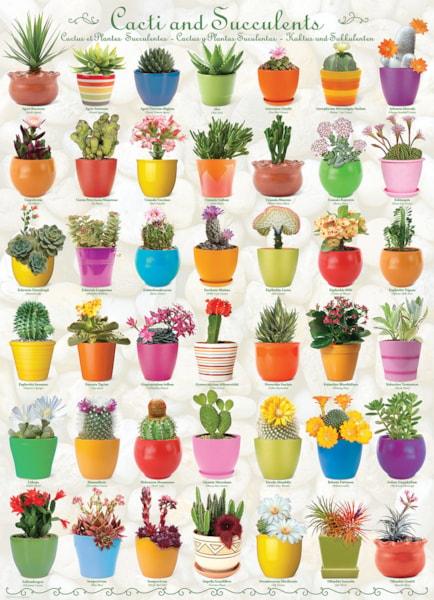 Eurographics - Cactus et plantes grasses (Jigsaw Puzzle 1000 pièces)