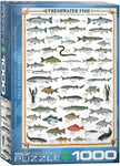 Eurographics - Freshwater Fish (1000-Piece Puzzle)