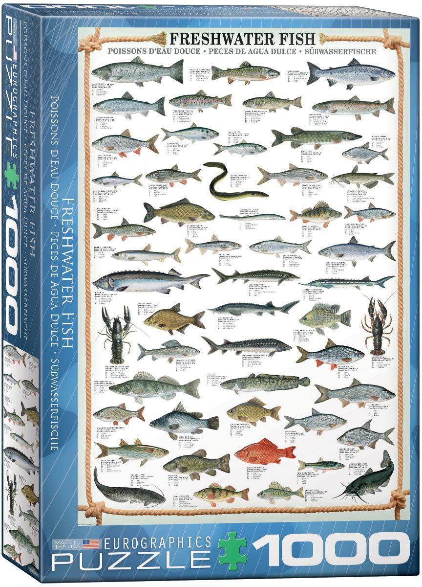 Eurographics - Freshwater Fish (1000-Piece Puzzle)