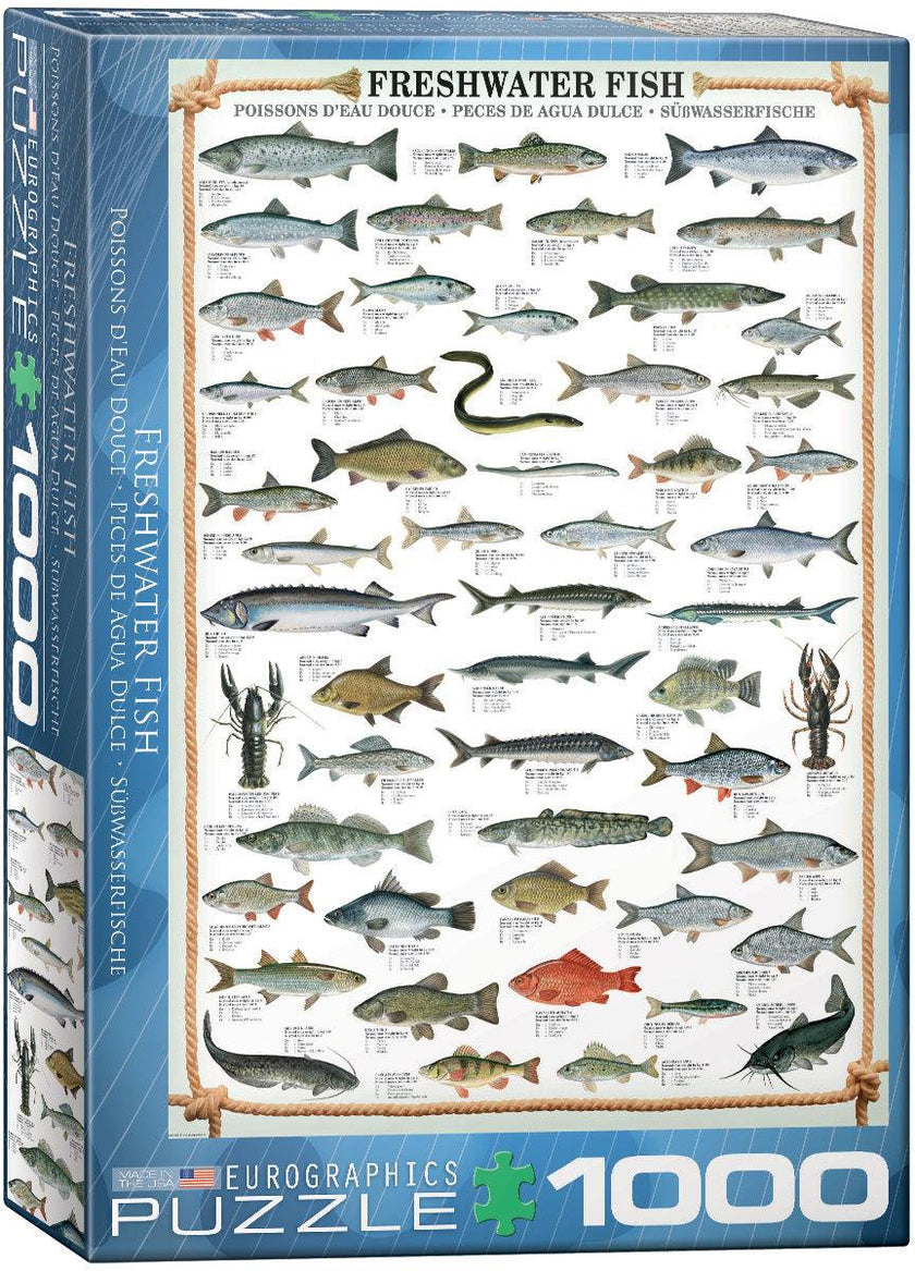 Eurographics - Freshwater Fish (1000-Piece Puzzle)