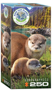 Eurographics - Loutres (Jigsaw Puzzles 250 pièces)