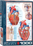 Eurographics - The Heart (1000-Piece Puzzle)