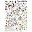 Eurographics - The Tree of Life (1000-Piece Puzzle)