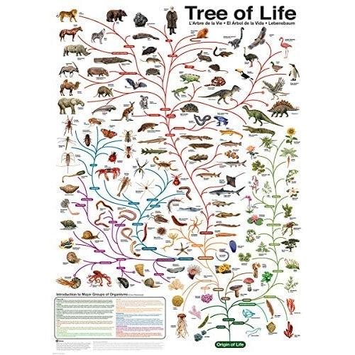 Eurographics - The Tree of Life (1000-Piece Puzzle)