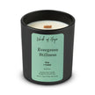 Evergreen Stillness Candle | Pine + Cedar