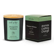 Evergreen Stillness Candle | Pine + Cedar