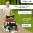 EZee Life Carbon Fiber Rollator CH3018 | Ultra-Lightweight 5.8 kg Walker Canada