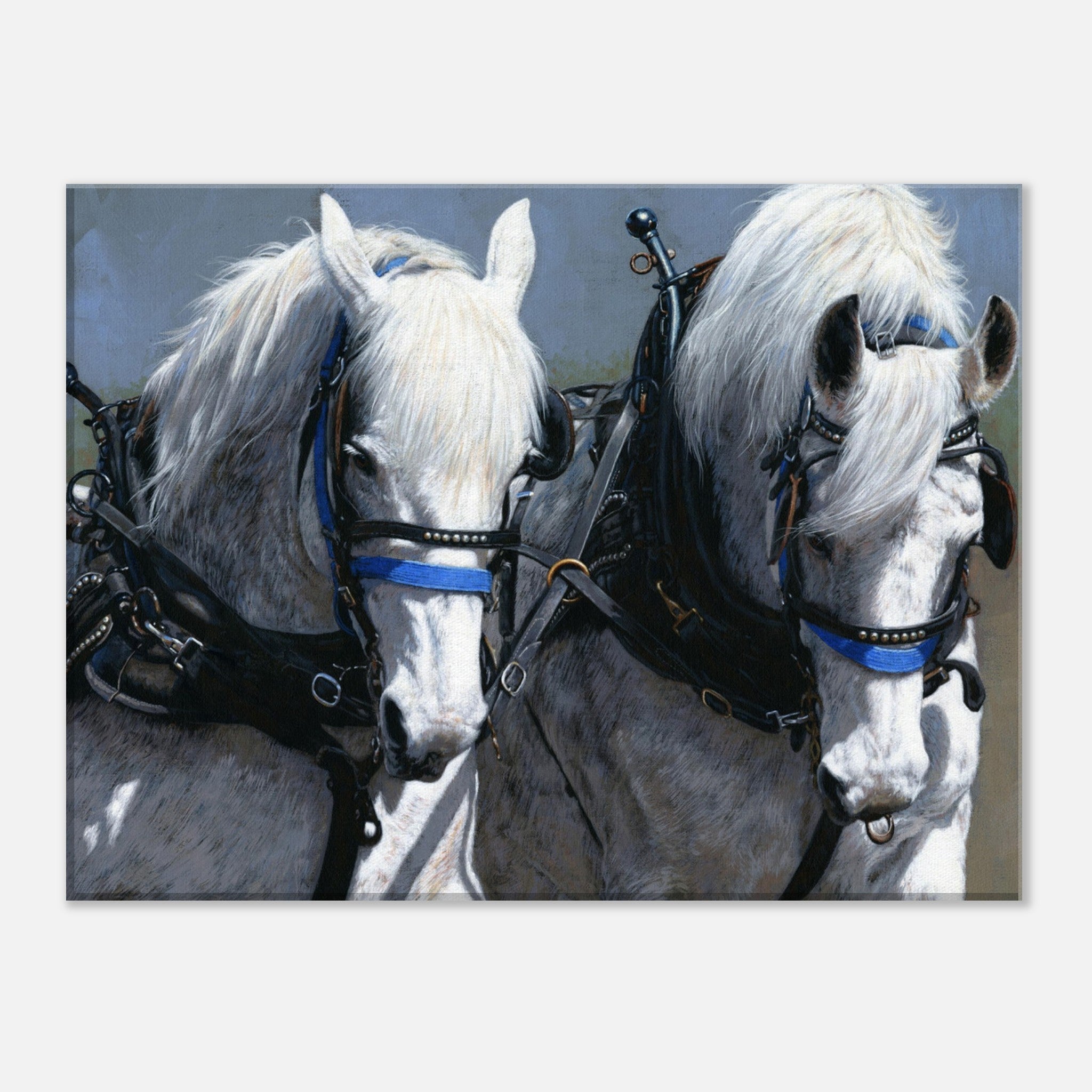 POWER AND GRACE Canvas Print
