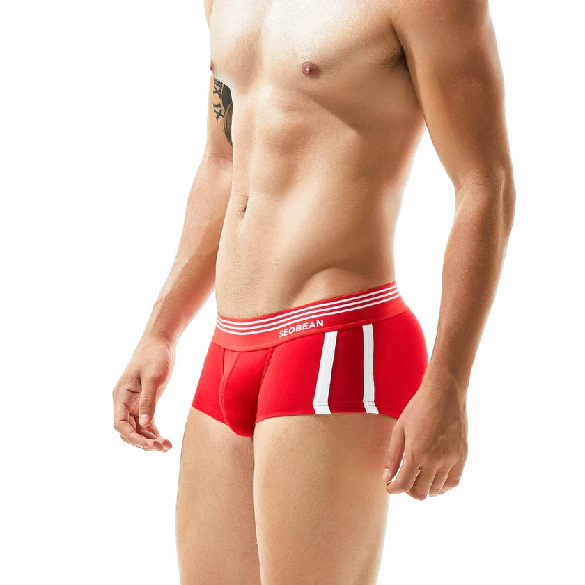 Men's Underwear Low Waist Cotton Seamless Boxer Briefs