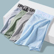Men's Underwear Mid Waist Mesh Ice Silk Mesh SPORT Boxer Brief