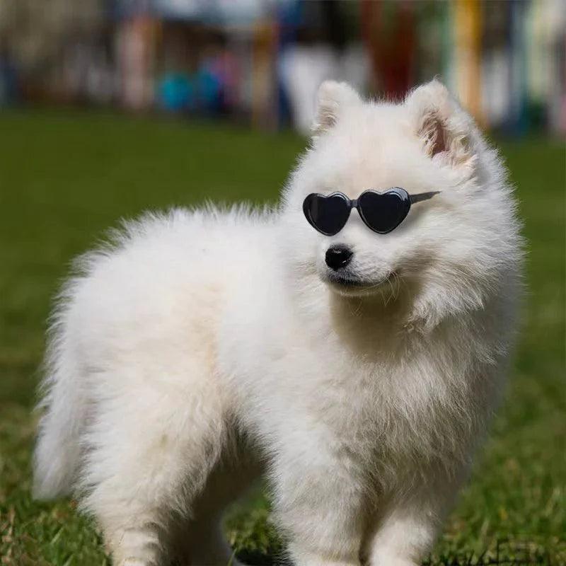 Heart-Shaped Pet Sunglasses – Cute Cat & Dog Costume Accessory